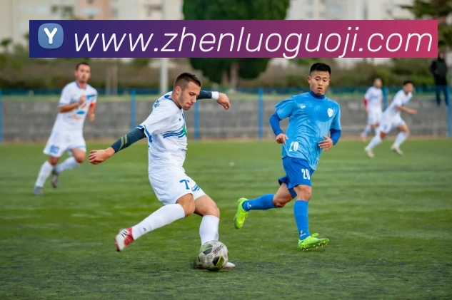 App Interface Preview