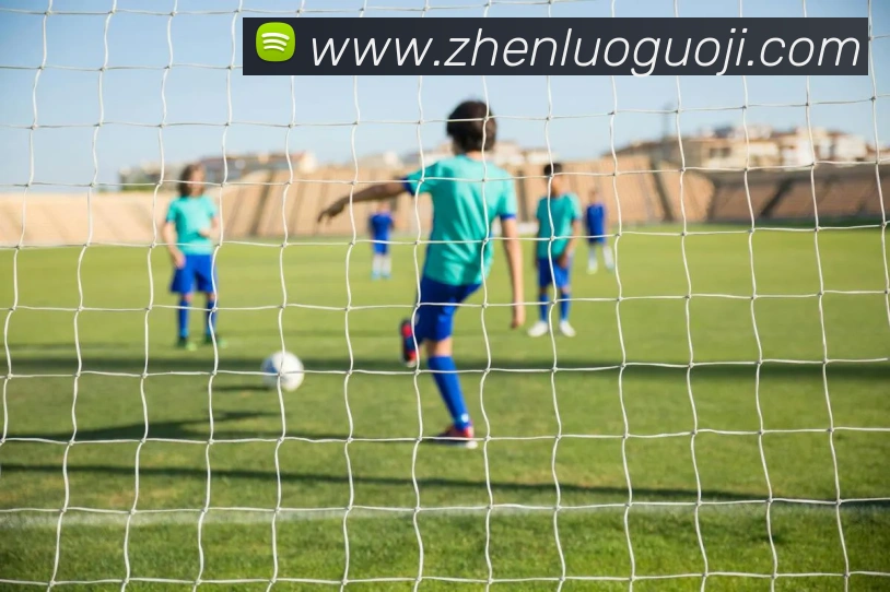 九游在线登陆官网APP 封面图